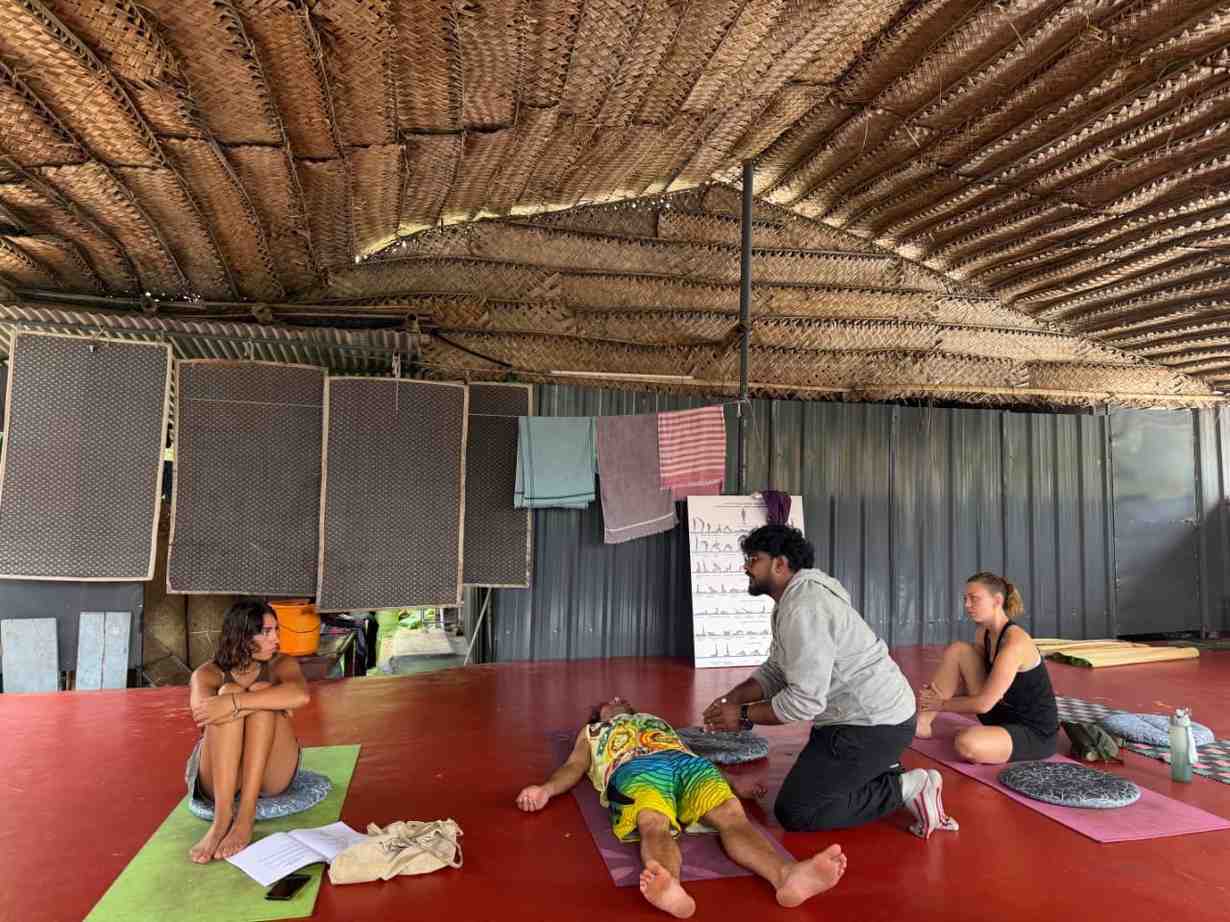 Yoga teacher training students practicing asana